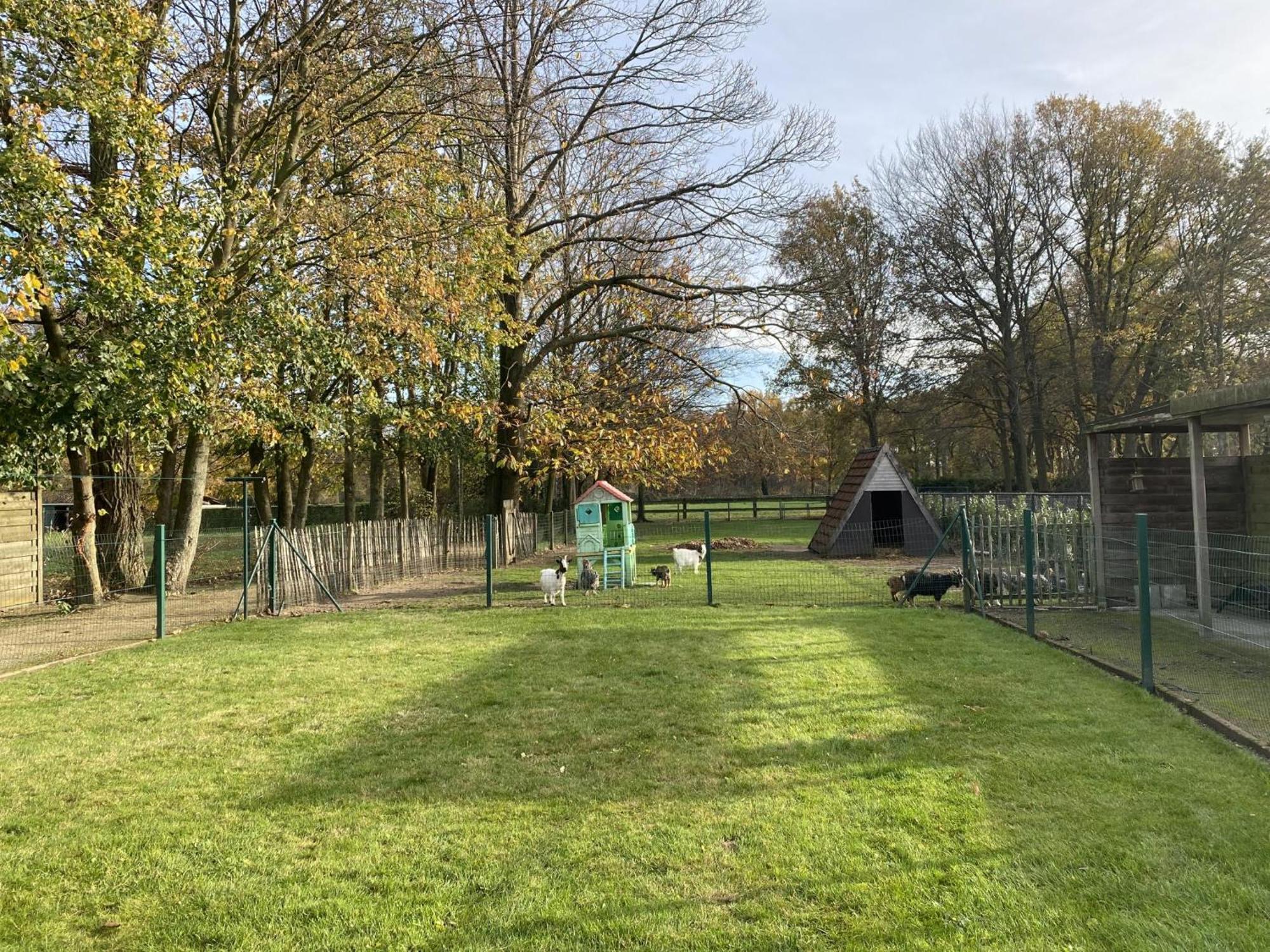 Het Bruegelhof Villa Peer Eksteriør billede